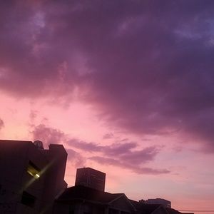 Meet your Posher, Nadine